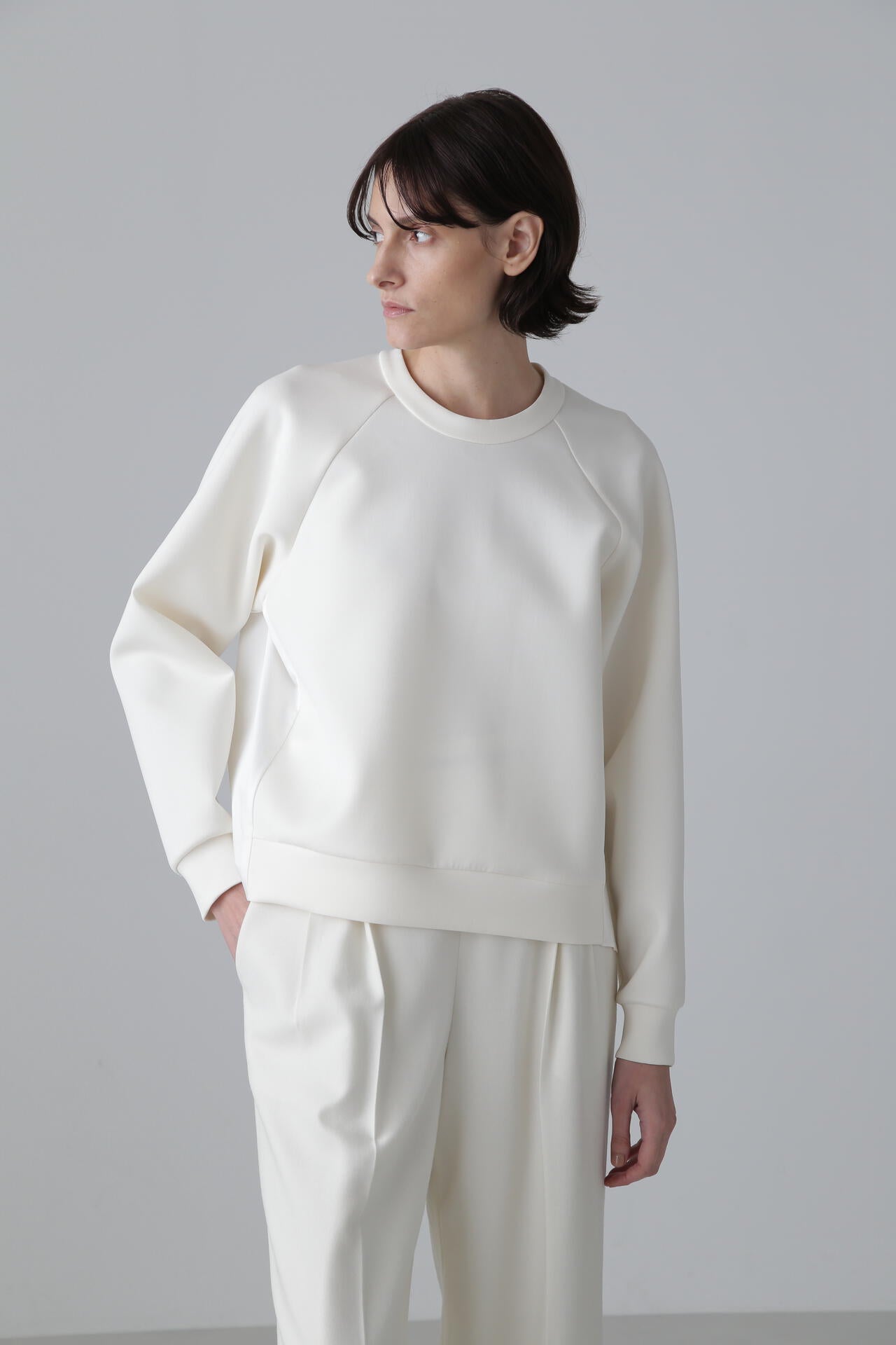 Katharine様未 専用　新品未使用タグ付 ADORE カットソー Katharine様未 専用 新品未使用タグ付 ADORE カットソー