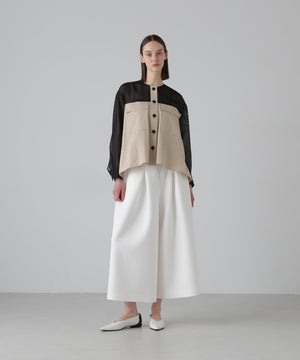 e13c881e-a612-55ae-8901-028f1ad3c040_Image