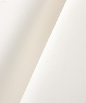 2f71c833-dad6-5140-b80d-7fa0bdf81539_Image