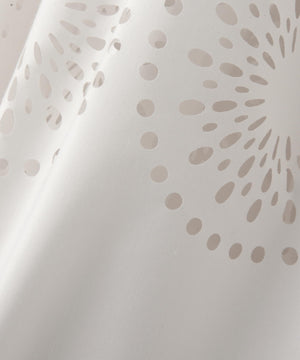 8a58dd48-263c-5994-b561-eb466a971e10_Image