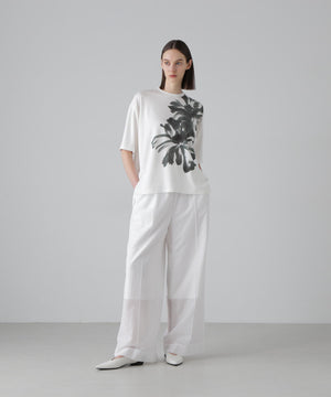 385d7386-130e-5de9-b3d2-1a1d288f4294_Image