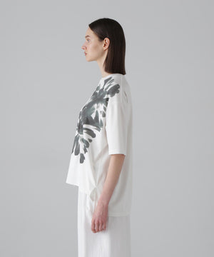 70246a08-ff9a-5361-82a6-dc2e0f57b076_Image