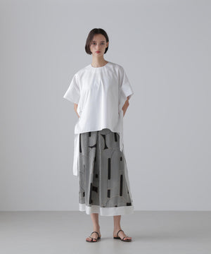 697aec29-324b-5e2a-b9f7-f258e355d067_Image