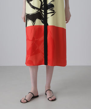 d010cfdf-a9b3-51f3-998f-1bd223706798_Image