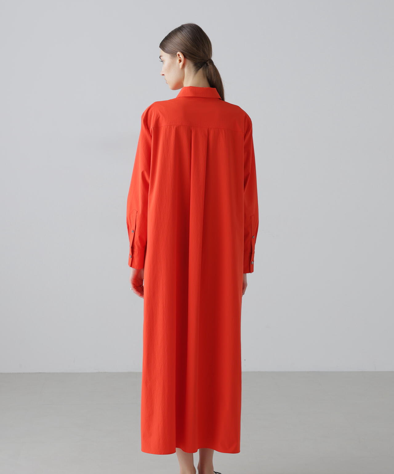 1 アオダモ アオダモ(品種指定不可) 苗木 販売 トオヤマグリーン