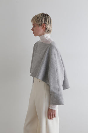 036c44cf-1042-55f1-8ca8-c26ffe04737c_Image