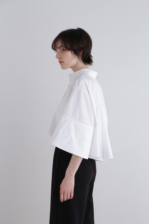 bdf387e0-ab87-57d8-b61d-15e96e04b5ff_Image