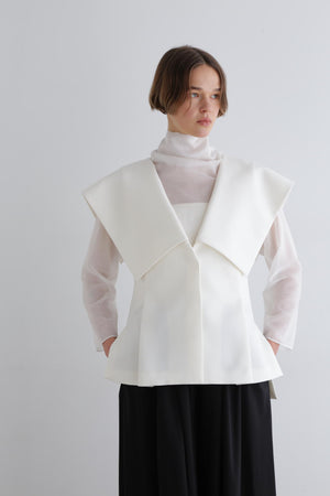 4fff507f-98e6-509d-9395-72ada596c327_Image