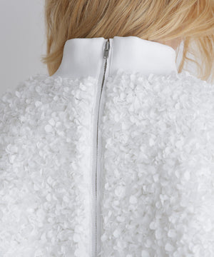 2fed015a-2ebc-5ca0-b181-12dd4417bca0_Image