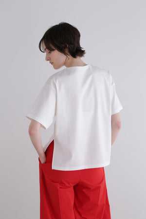 0a408506-e77e-5ca3-9e00-8c0fc80a1137_Image