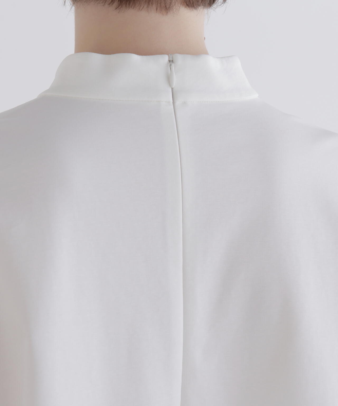 専用ページ　TULIP様 Young Small Holland Tulip – Permaflora