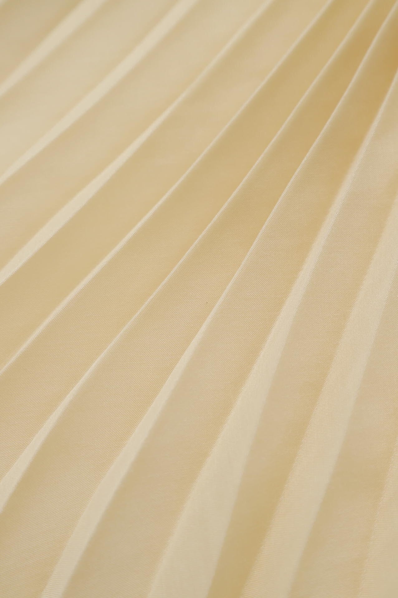 Sheer Pleated Pants