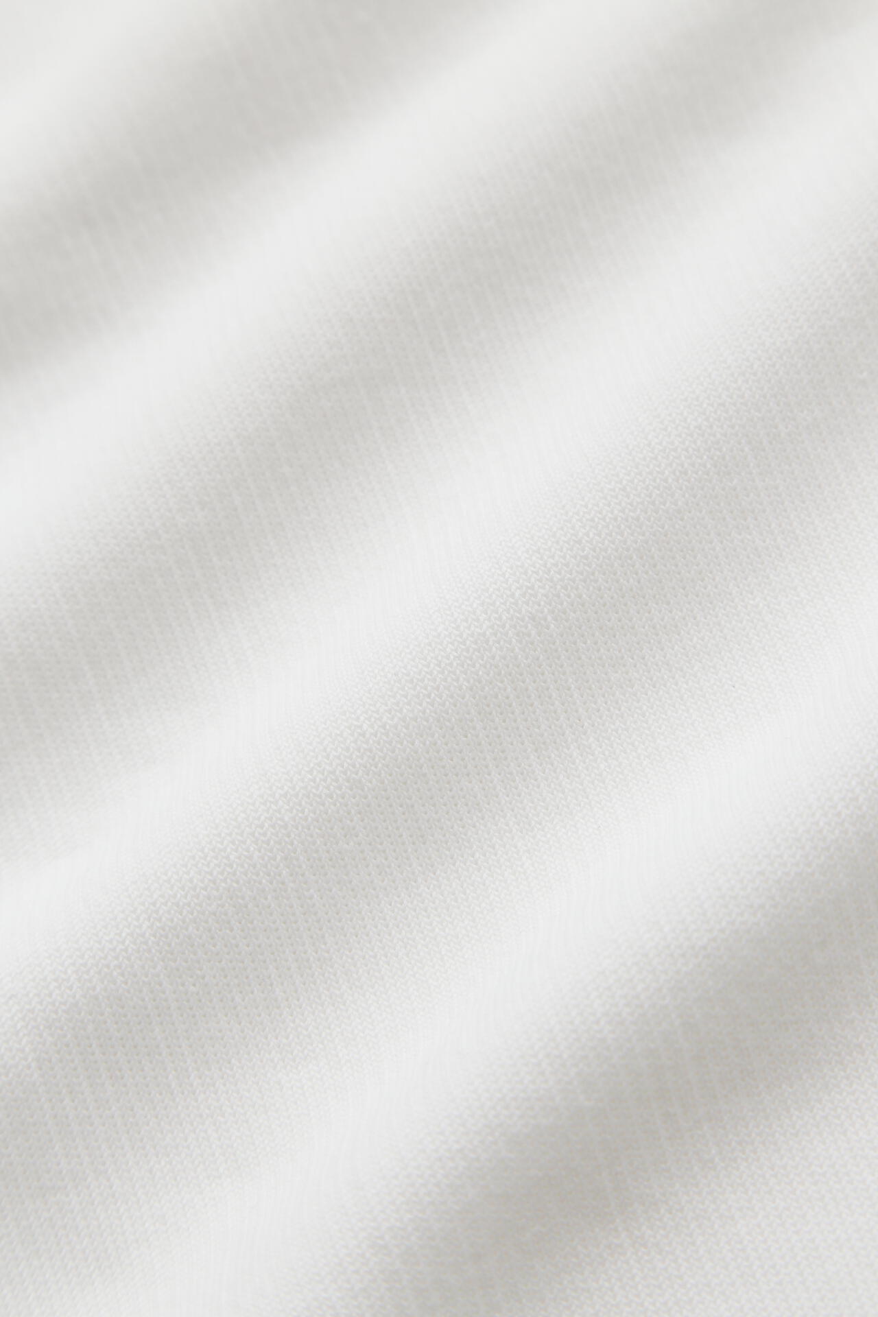 44e266c9-86d7-5c0f-be42-c887f3d9af30_Image