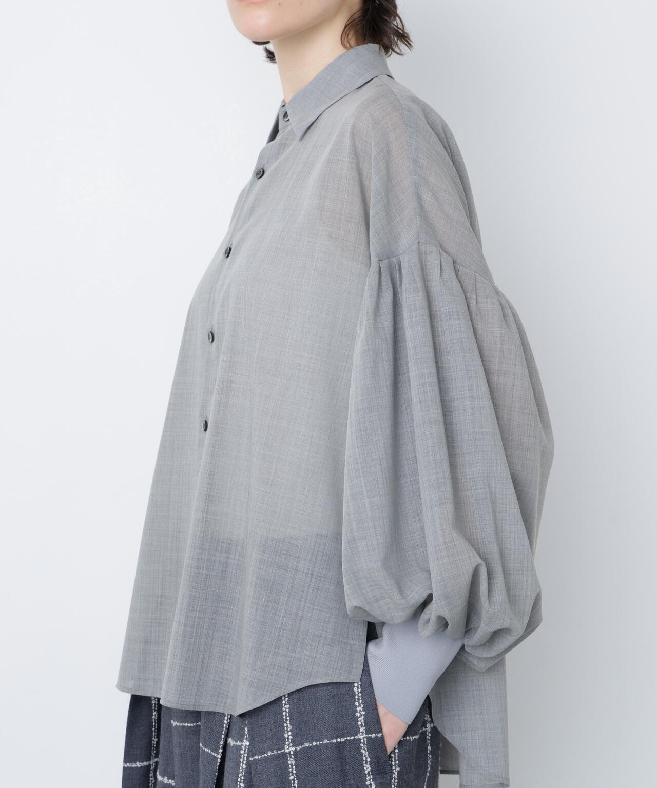 Sheer Volume Sleeve Shirt