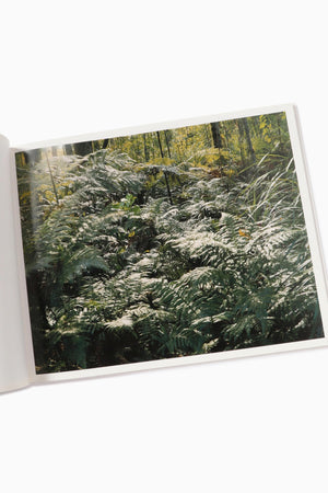 9e48e1f2-0fea-5f81-b4c2-a6cb9651b169_Image