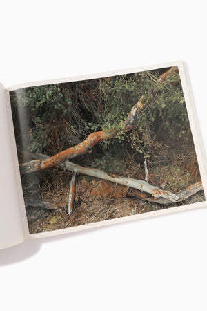 ef80cb88-53ac-53d1-accc-88ae9e573504_Image