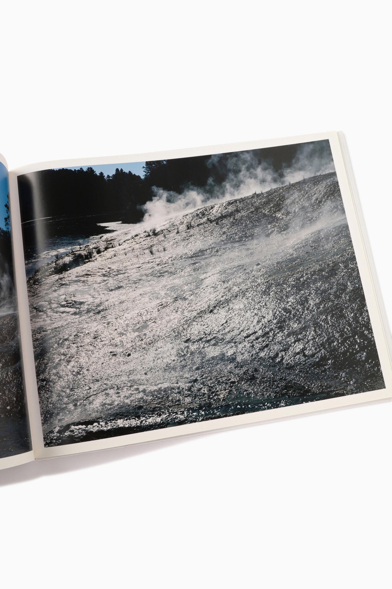 eb623558-f975-530b-8151-6f2429d57567_Image