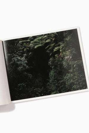 d1b413b6-e687-523e-b7fe-7f134c7f29c3_Image