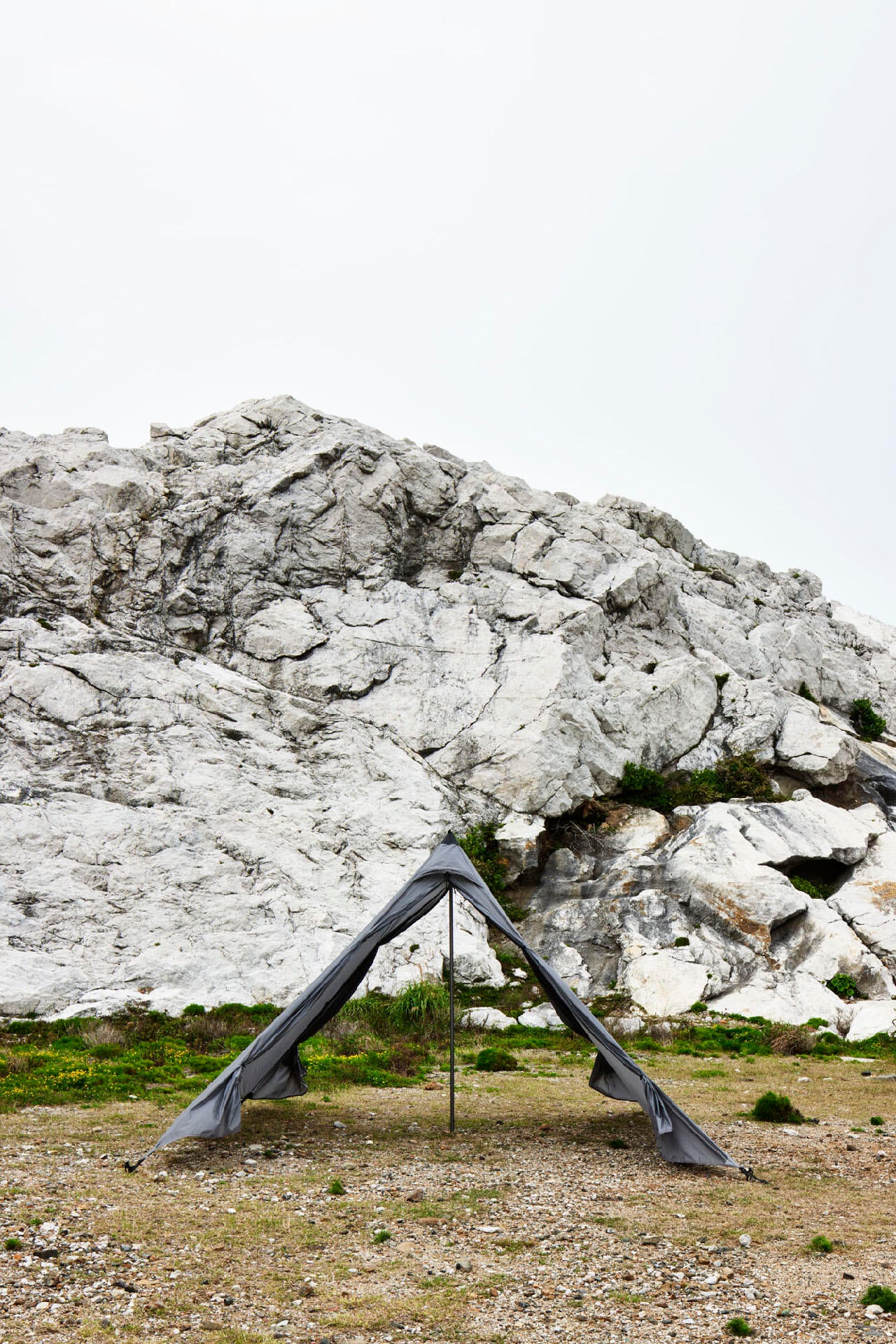 8018bb2c-35bb-5c8b-844e-075fea7890a7_Image