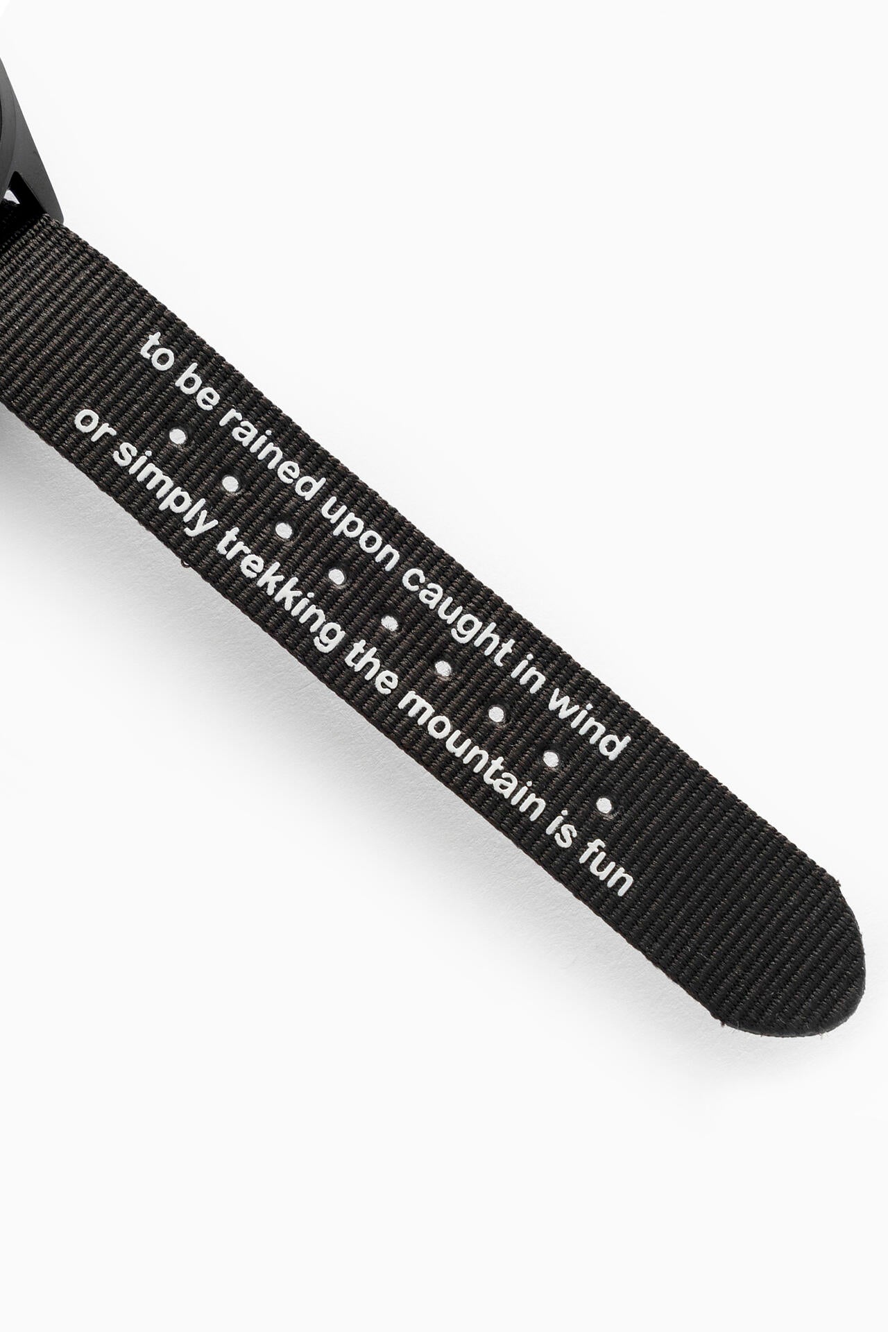 06ca02fa-78c7-5e55-a3e0-14cbde6d579b_Image