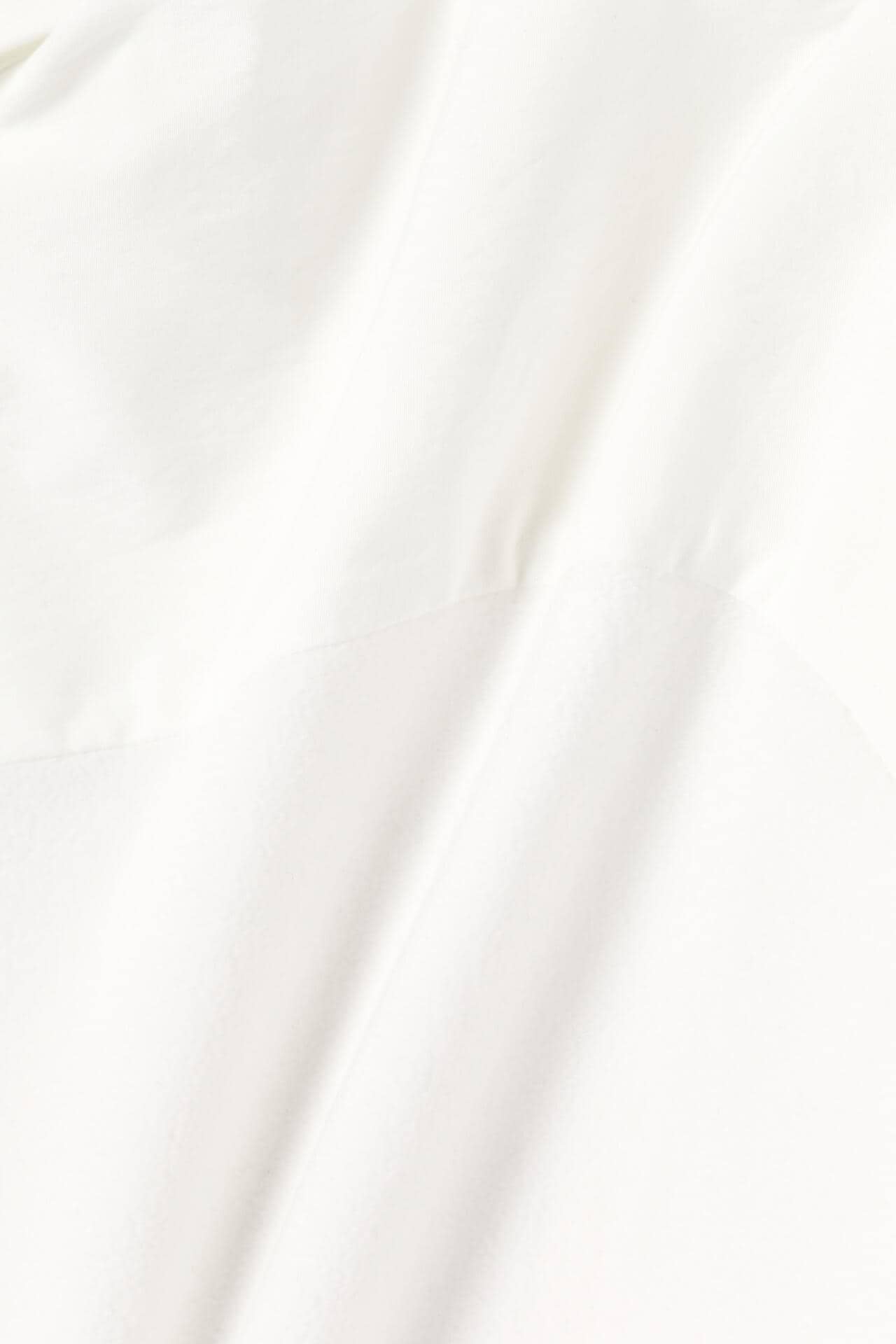 2952cf3c-e675-56a3-8735-091ca6a11708_Image