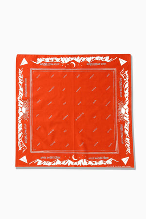 7dbba804-b441-5adc-82af-d5cfeeceec5f_Image