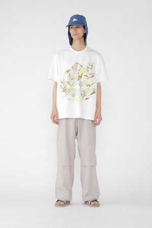 cd962efb-e225-5254-80bc-32a712fb4441_Image