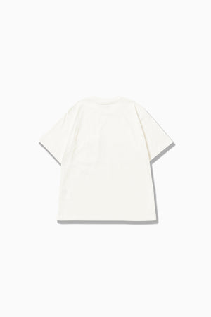 8833dd59-6f07-566c-b260-7c5547154b89_Image