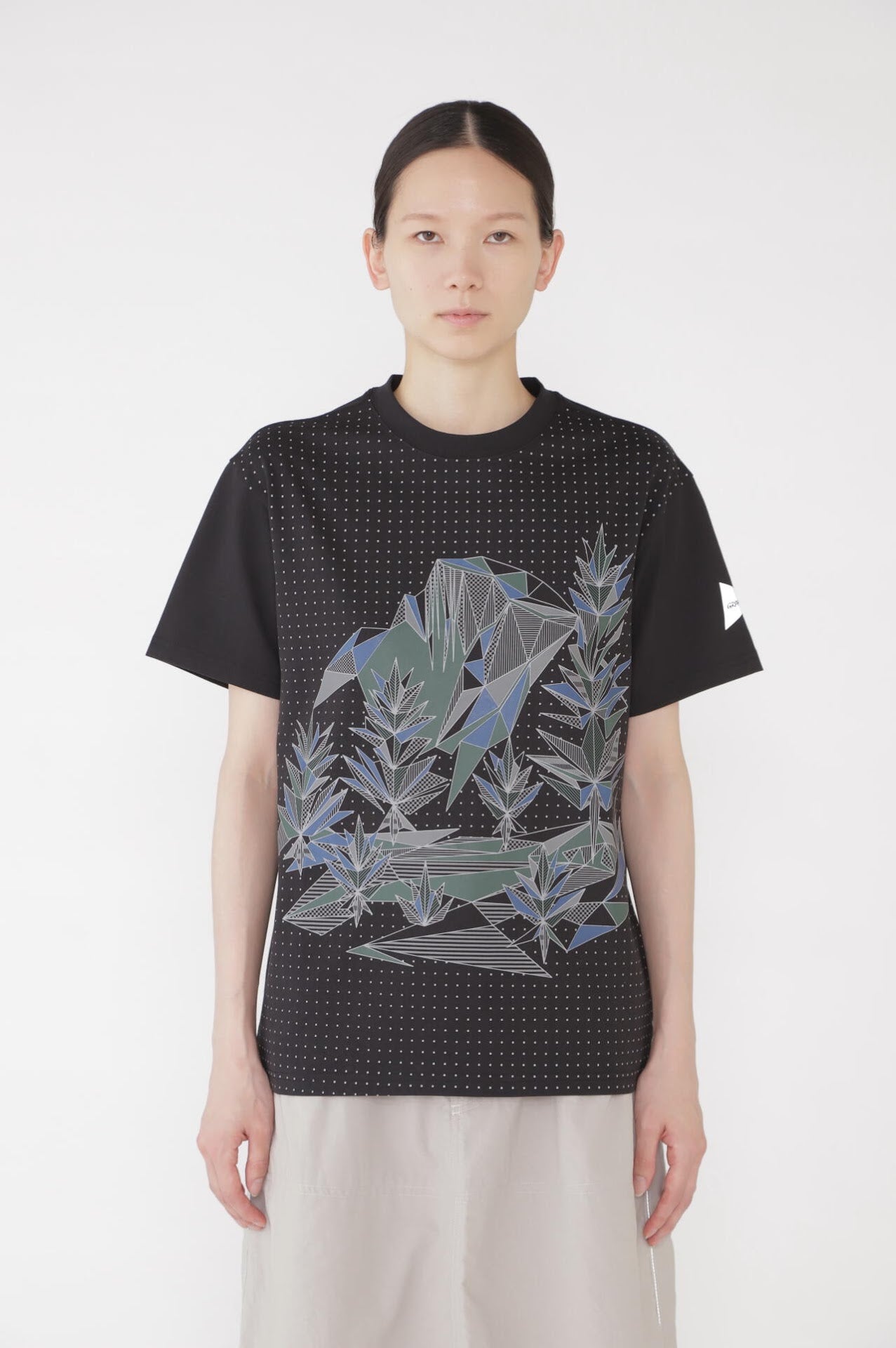 GRAMICCI × and wander yosemite graphic tee | and wander（アンド