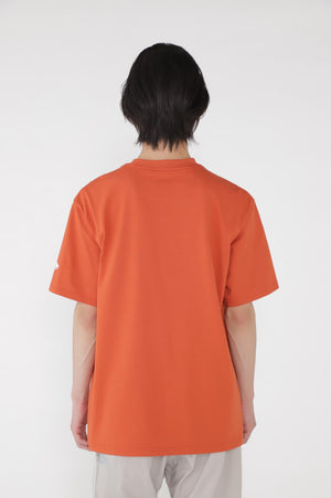 1b3dbe73-f616-517f-b1e7-bdf7698beb7c_Image