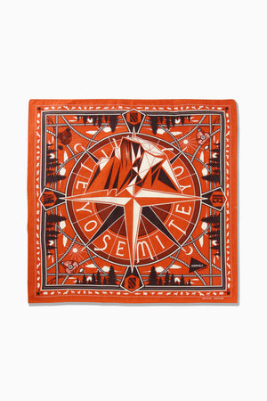 d64dee33-aebf-5a83-8508-a8af2bcd7f6a_Image