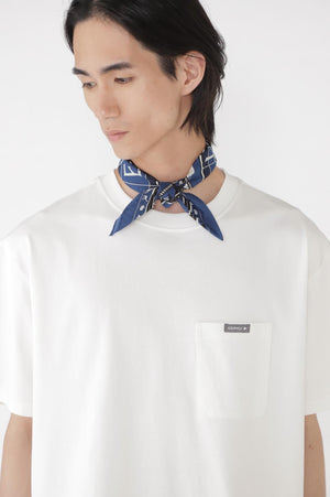 8d652be5-5265-516d-92a1-395cb6b5ea79_Image