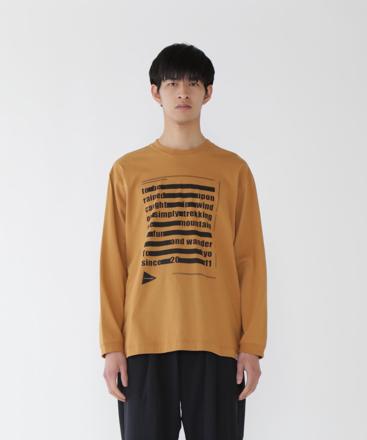 typography printed  LS T