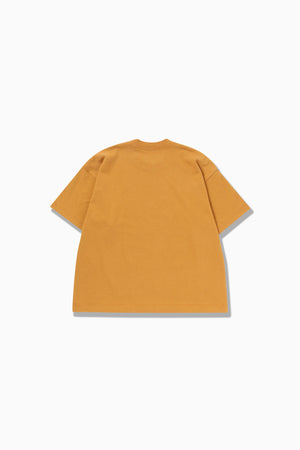 4d55e810-8add-5fcb-b216-59a1b0d07352_Image