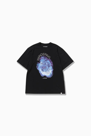 278ee4b0-e539-5df4-a976-75d745fd45e1_Image