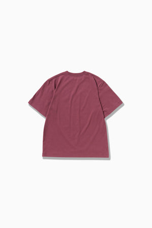 e06586d9-cc1e-5da8-b398-c0c14a06e9fe_Image