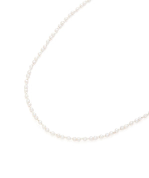 f51825e2-9b4c-515e-9b23-ad341489b970_Image