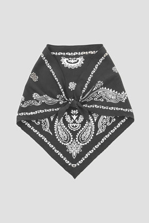 afa20f10-5ca3-547b-9aca-aa05e3e6f7a2_Image