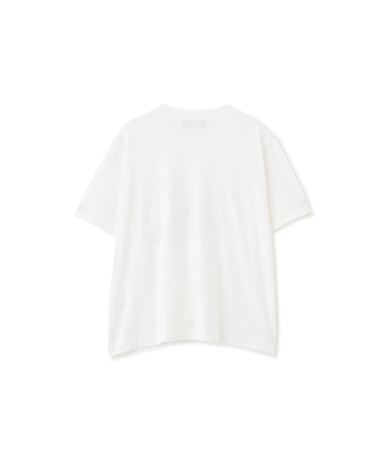 LANDSCAPE PRINT COTTON JERSEY TOP | MARGARET HOWELL（マーガレット