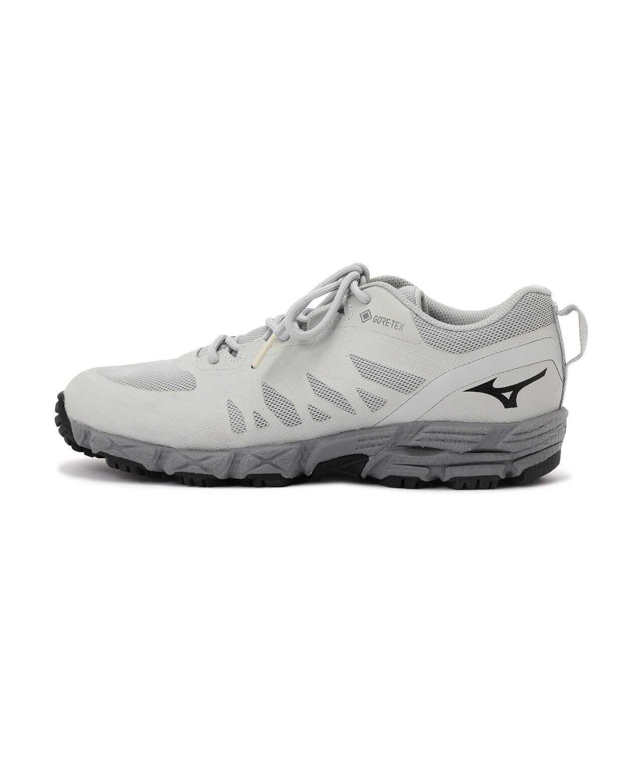 V2 GORE-TEX HIKING SHOES