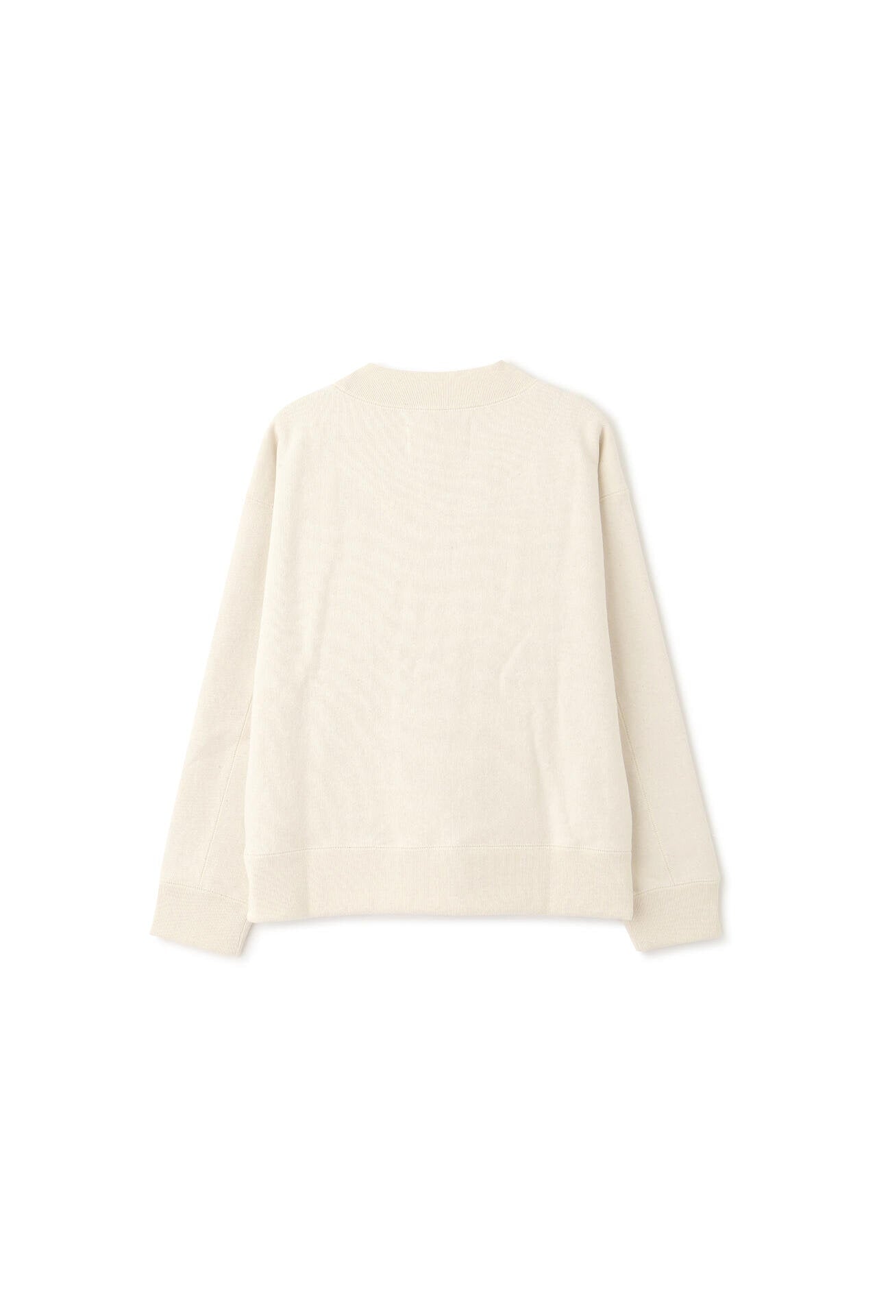 CHUNKY BRUSHED LOOPBACK JERSEY
