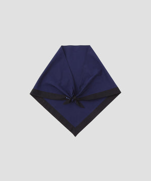 466f23d4-4d73-5973-b63e-141a5f47a695_Image