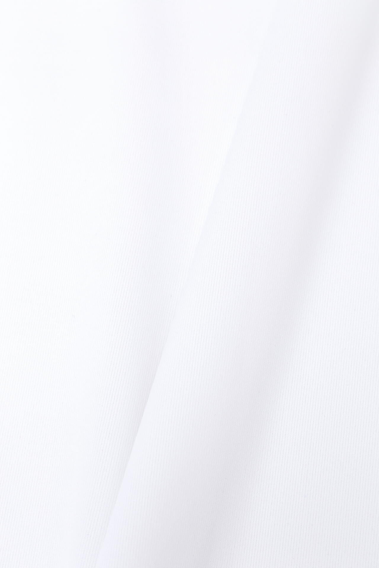 【PING APPAREL】蝉川プロ別注 半袖ハイネックカットソー ＜PERFORMANCE＞ (MENS)