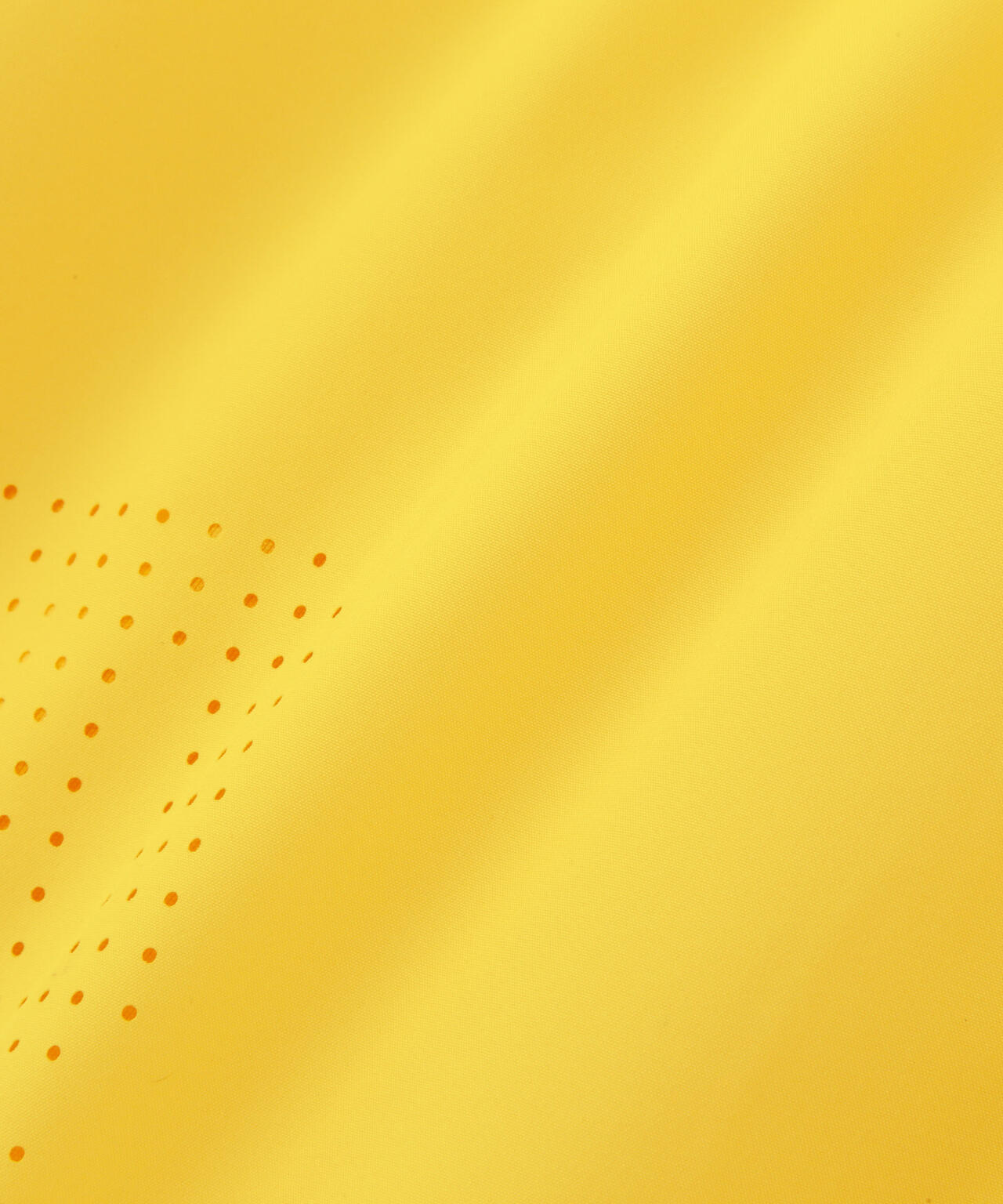 621d0eb7-8f8a-5e5a-8cfd-0ee4ba1a8c4a_Image