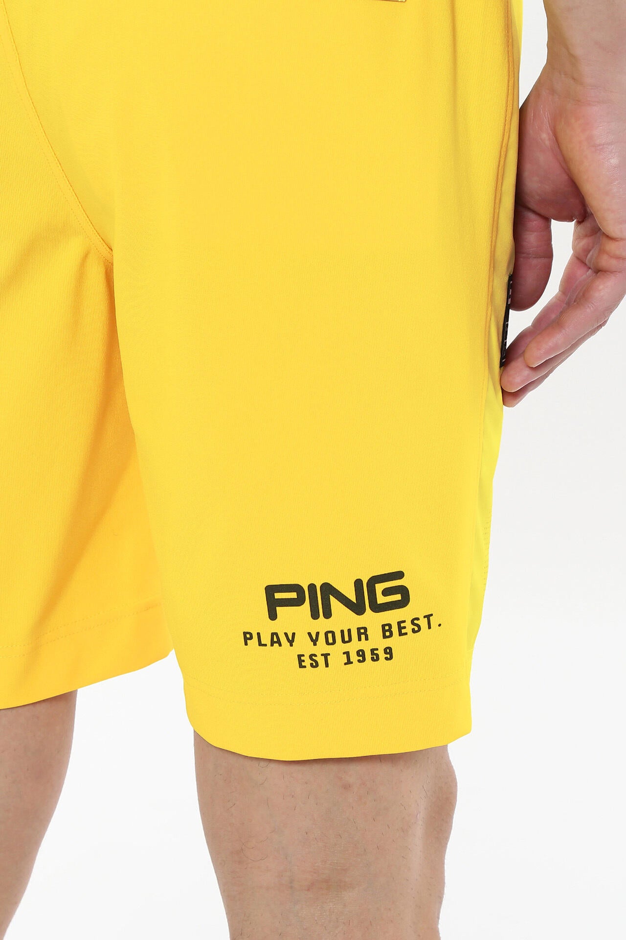 2b33b893-aa5c-548c-9eda-21c0ffbceb64_Image