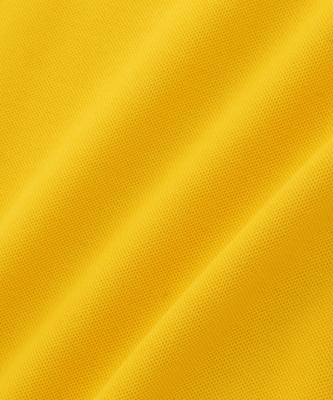 4e63c964-7a3d-5bdb-9e9c-58b1235ec2e0_Image