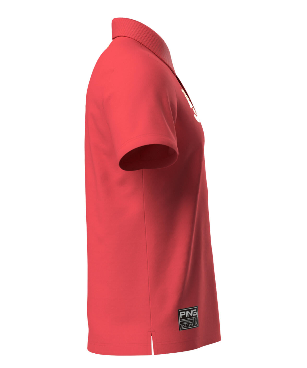 be381a81-46d4-5528-8a29-2f37db5058d4_Image