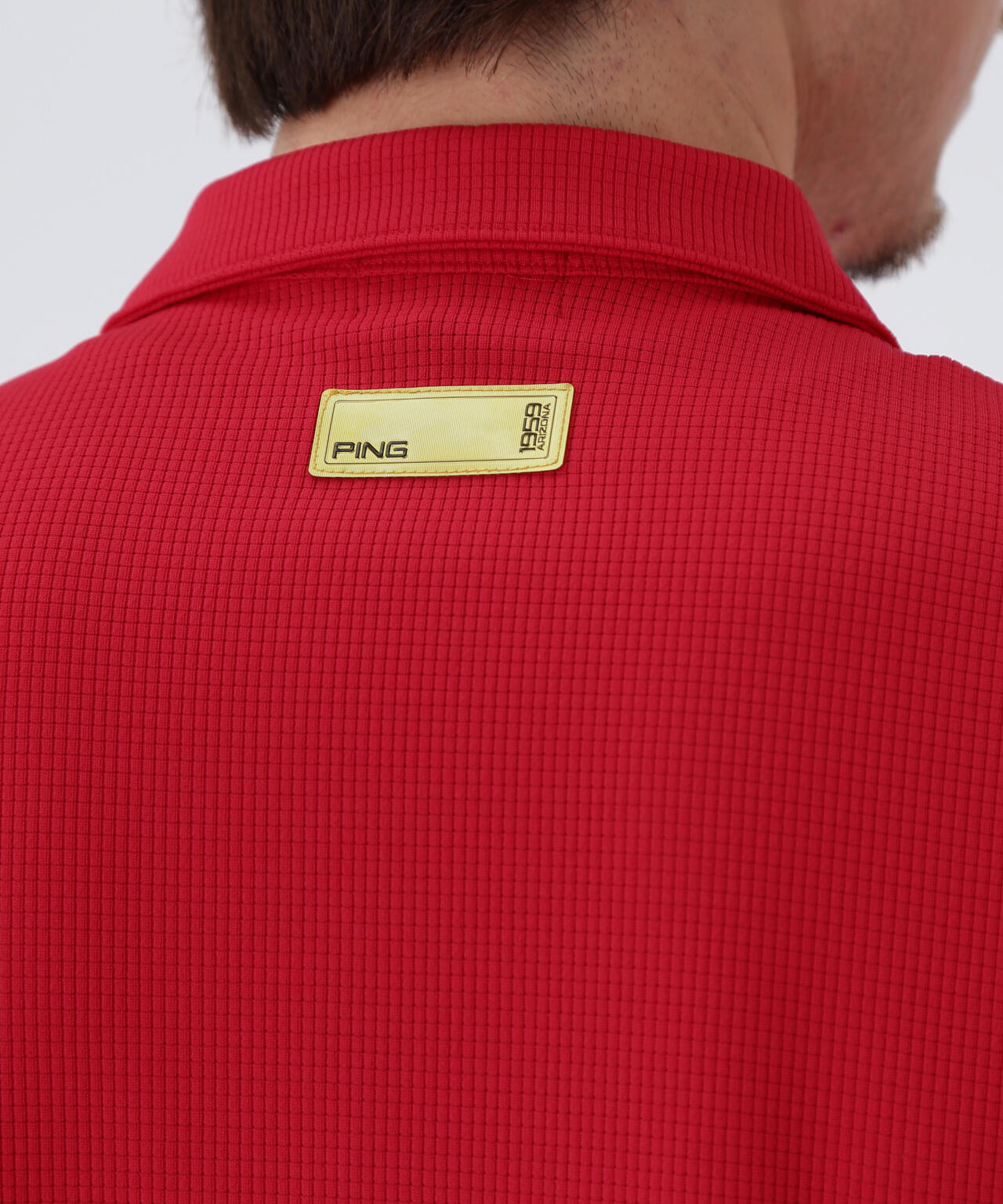 0189049d-cee5-510d-94a7-fae1f1d6cf4e_Image