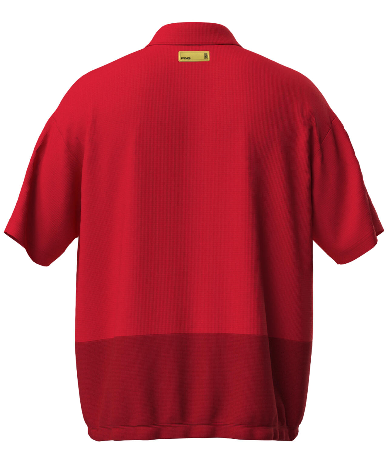 448deddf-c23a-5e4a-bcd9-fb21c9c9a98b_Image