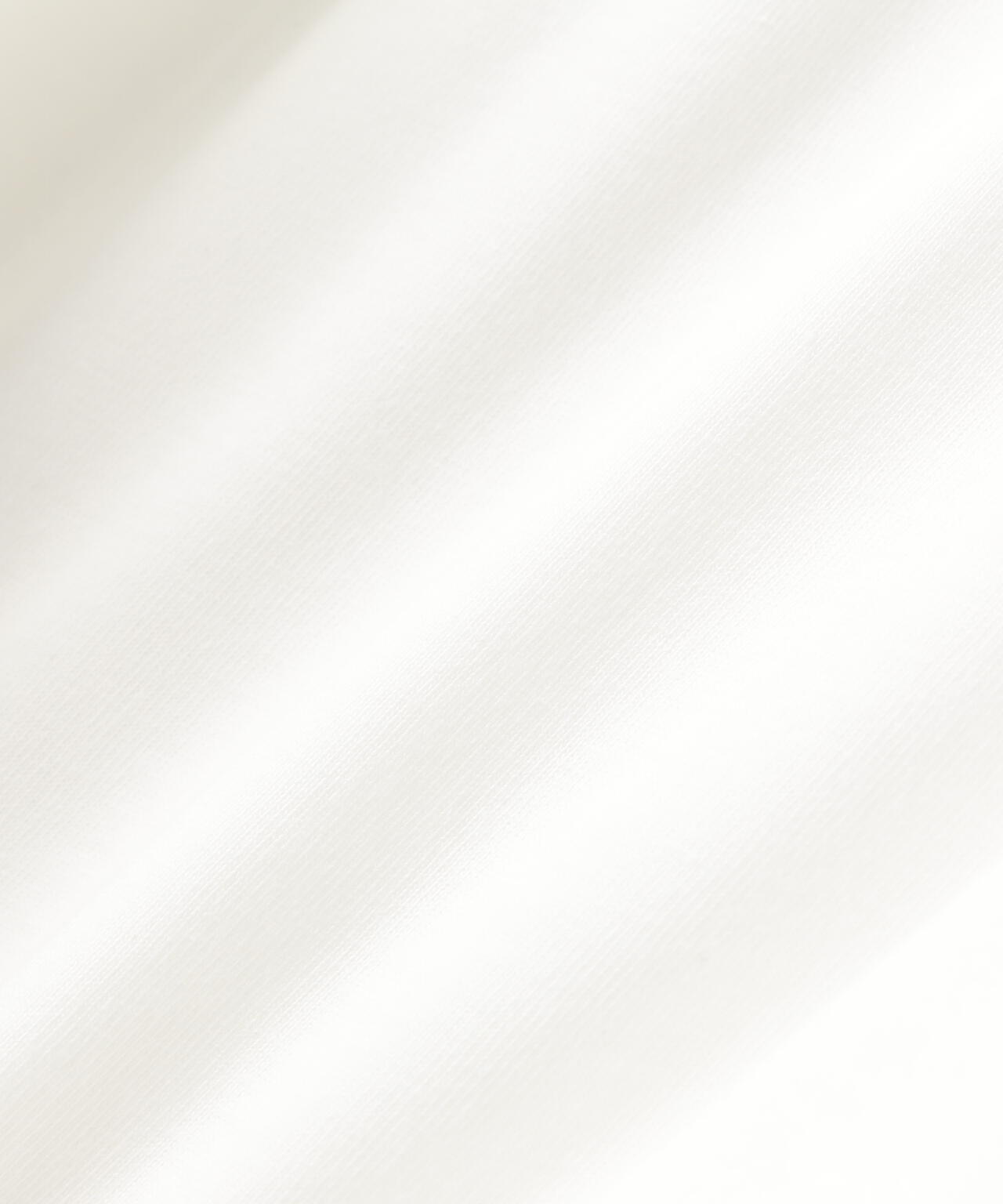 【PING APPAREL】TC天竺ル―ズシルエット長袖ハイネックシャツ ＜NATIVE＞ (MENS)